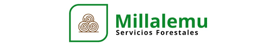 Forestal Millalemu