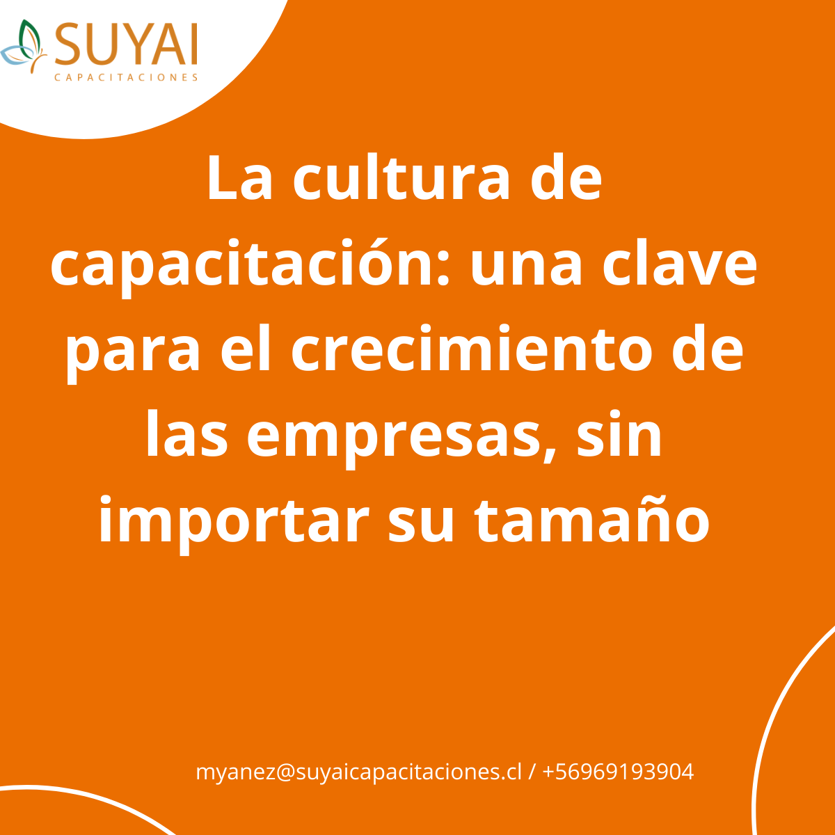 La cultura de capacitación: una clave para el crecimiento de las empresas, sin importar su tamaño